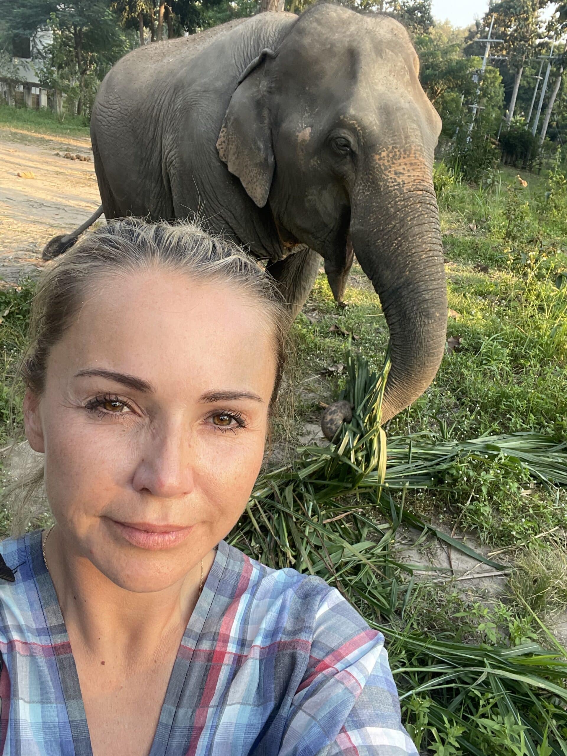 Bell Bennet im Luxusurlaub mit Elefant